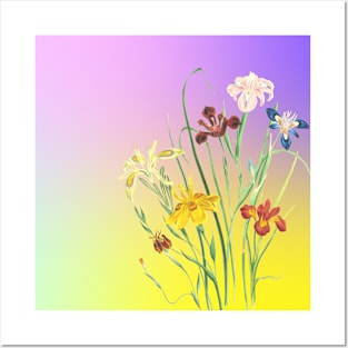 Springtime Flowers Posters and Art